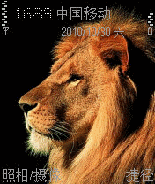 狮子 04
