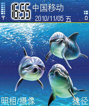 海豚02