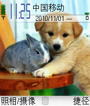 兔子和狗