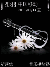 Violin Daisy