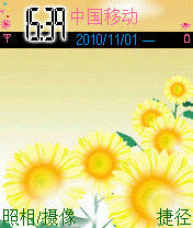 花儿为节日开放