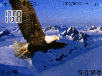 飞跃雪原的鹰