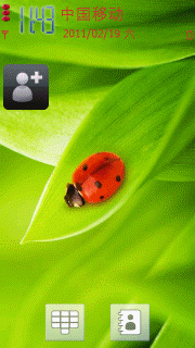 绿叶上的七星瓢虫