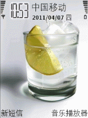 Lime In Glass