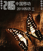 蝴蝶10