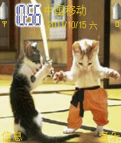 猫武士的决斗
