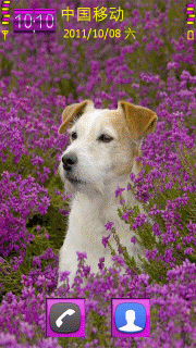 花丛中的狗狗