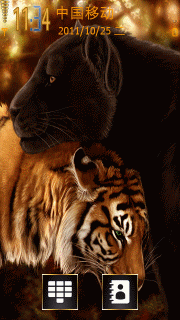 虎与豹