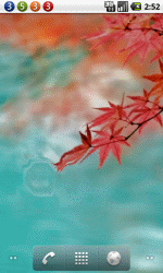水中枫叶