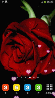 爱情玫瑰